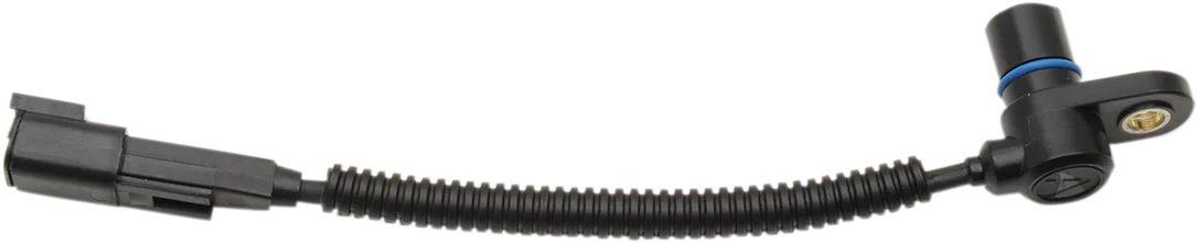 gc3jtbg1i2o